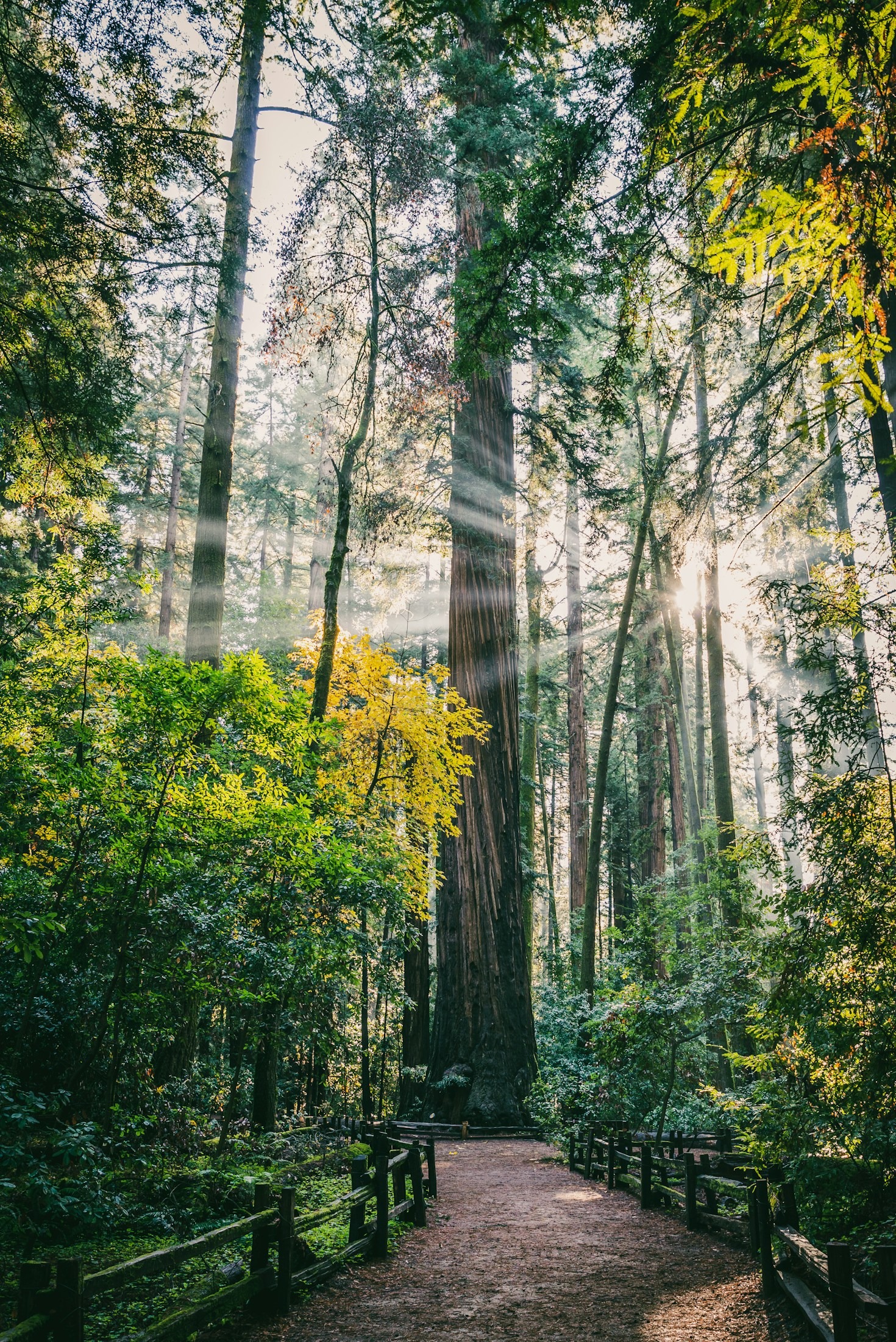 Como iniciar sua jornada espiritual com confiança